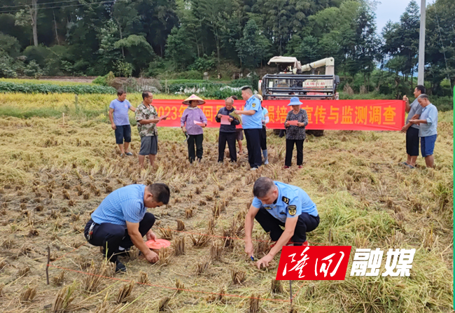 隆回县开展中稻机收减损与农机安全宣传(图1)