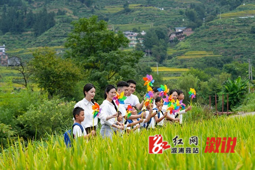 d43abf1a8739491aa7623eac72cf1ba.jpg