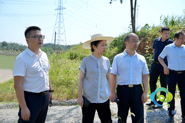 蒋春艳开展三季度巡林,巡田工作__云溪新闻网