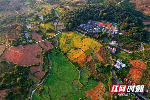 4.俯瞰省级美丽乡村回龙圩神仙洞村.jpg