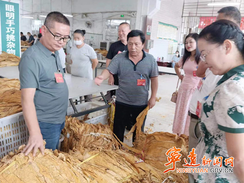 宁远：护航烟农赶“烤”路_副本500.jpg