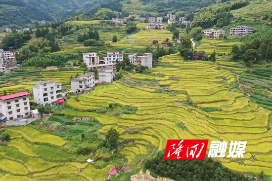 mmexport1694437397701 - 副本.jpg