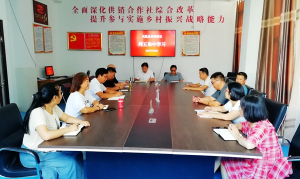 图片20.jpg