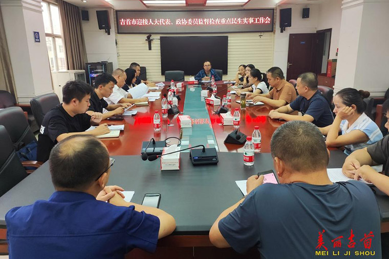 发挥人大、政协监督之力 助推民生项目建设驶入“快车道”1.jpg