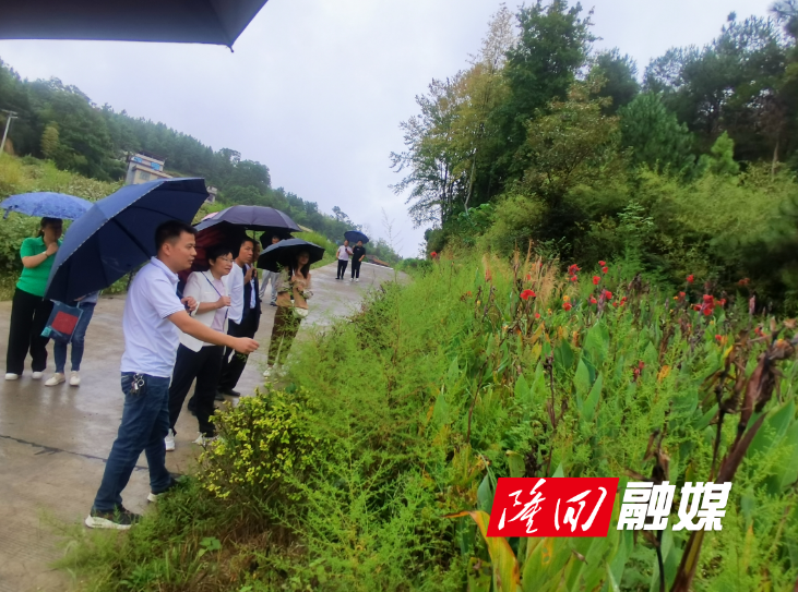 山界回族乡政协委员工作室开展改善生态环境专项民主监督活动(图2)