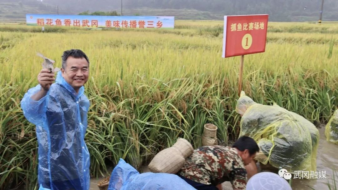 武冈又一个活动开幕！刘少军院士亲自下田....(图2)