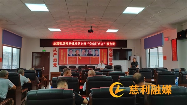 柳林铺村党支部“党建好声音”微宣讲 (9).jpg 柳林铺村党支部“党建好声音”微宣讲 (9).jpg