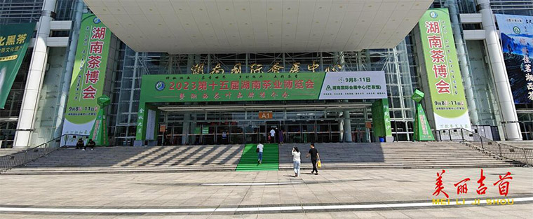湘西黄金茶“茗”香湖南茶博会 销售火爆再“出圈”1.jpg