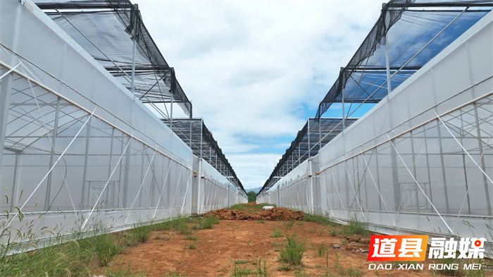 道县：加大农业生产投入 5万平方米育秧基地即将投入使用4_副本.jpg