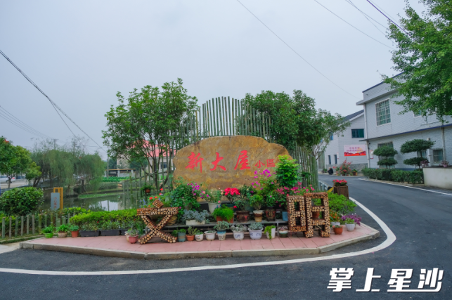 潯龍河村新大屋組，因其便利的交通優勢和就學資源，成為該鎮第一個發展旅居養老的地方。