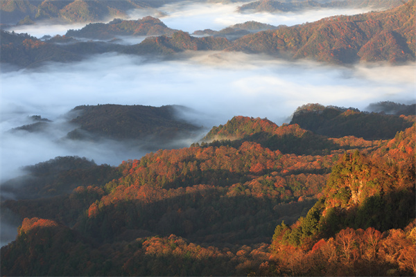 云海红叶.jpg