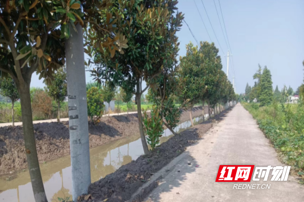 南县三仙湖镇开展清淤扫障行动 清除杂草杂物23余吨