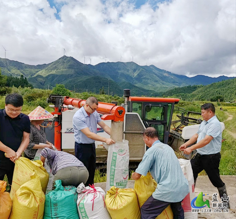大桥瑶族乡：助农抢收解民忧2.jpg