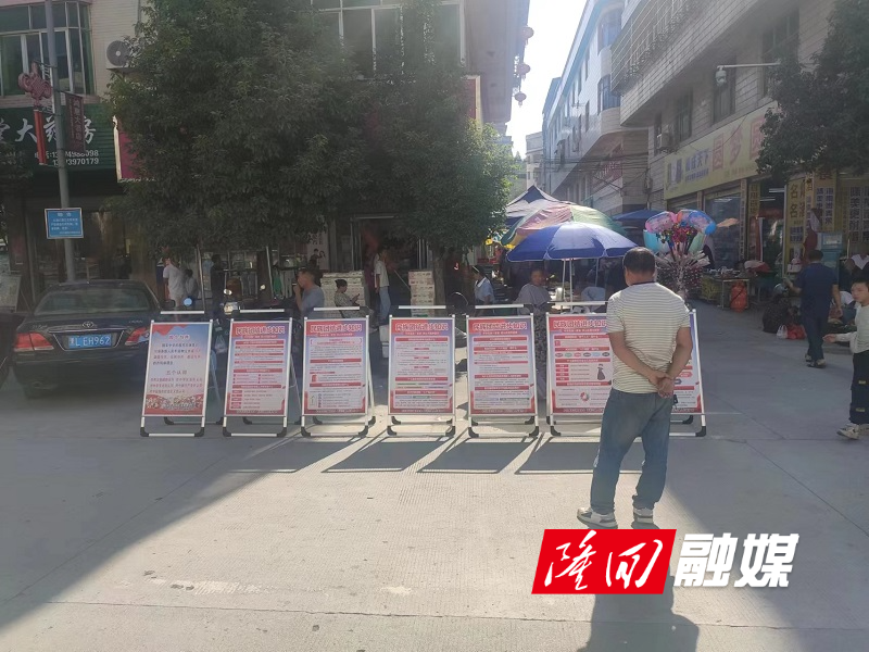 西洋江镇积极开展民族团结宣传月活动(图1)