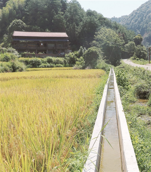 通道侗族自治县新建的水渠等小农水设施为广袤农田引来汩汩活水。.jpg