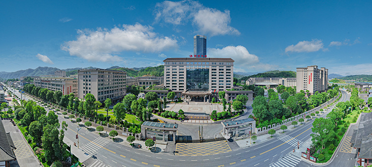 大门全景-新闻尺寸.jpg