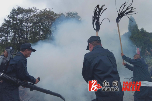 红网稿件图片1.jpg