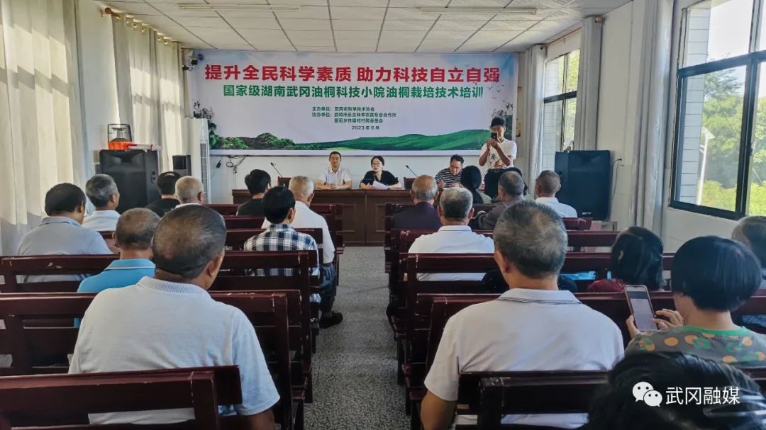武冈市举办国家级湖南武冈油桐科技小院油桐栽培技术培训(图2)