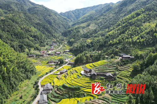 红网稿件图片1.jpg