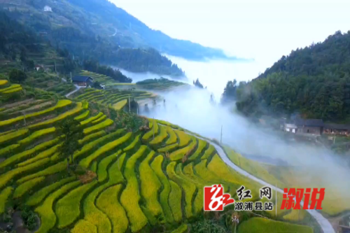 葛竹坪6.静止001.jpg
