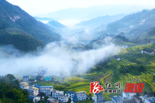 葛竹坪1.jpg