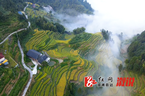 葛竹坪2.jpg