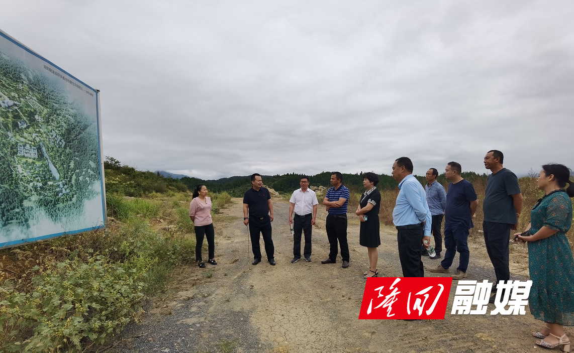 横板桥镇政协委员工作室组织开展“委员活动日”履职活动(图1)