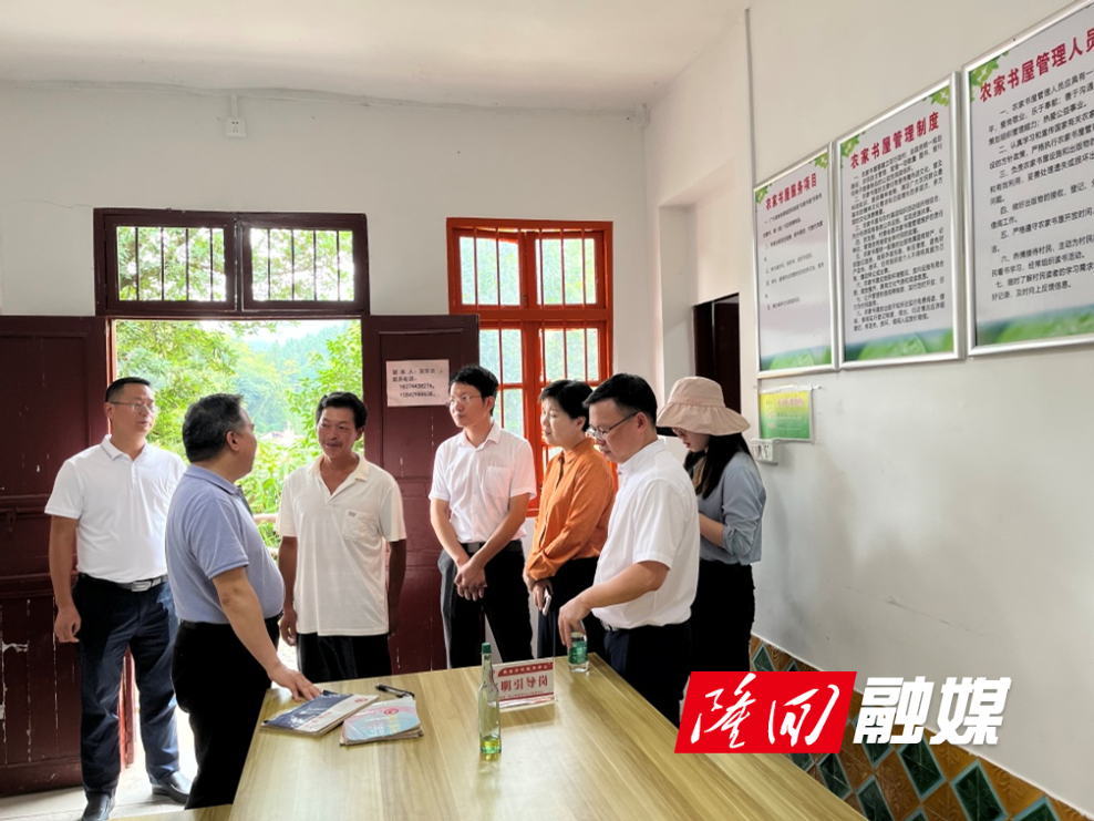 肖凌之来隆回调研文明创建工作(图2)