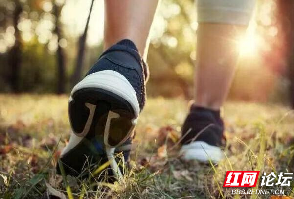 QQ截图20230922114146_副本.jpg QQ截图20230922114146_副本.jpg