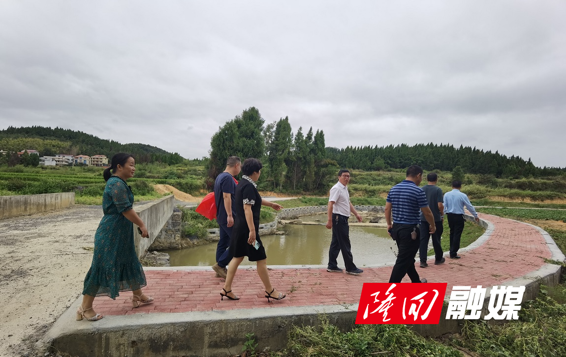 横板桥镇政协委员工作室组织开展“委员活动日”履职活动(图4)