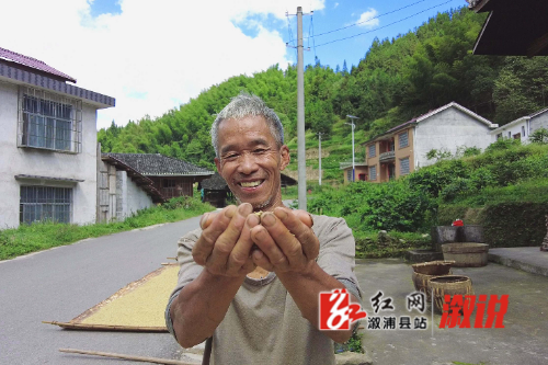 红网稿件图片.jpg