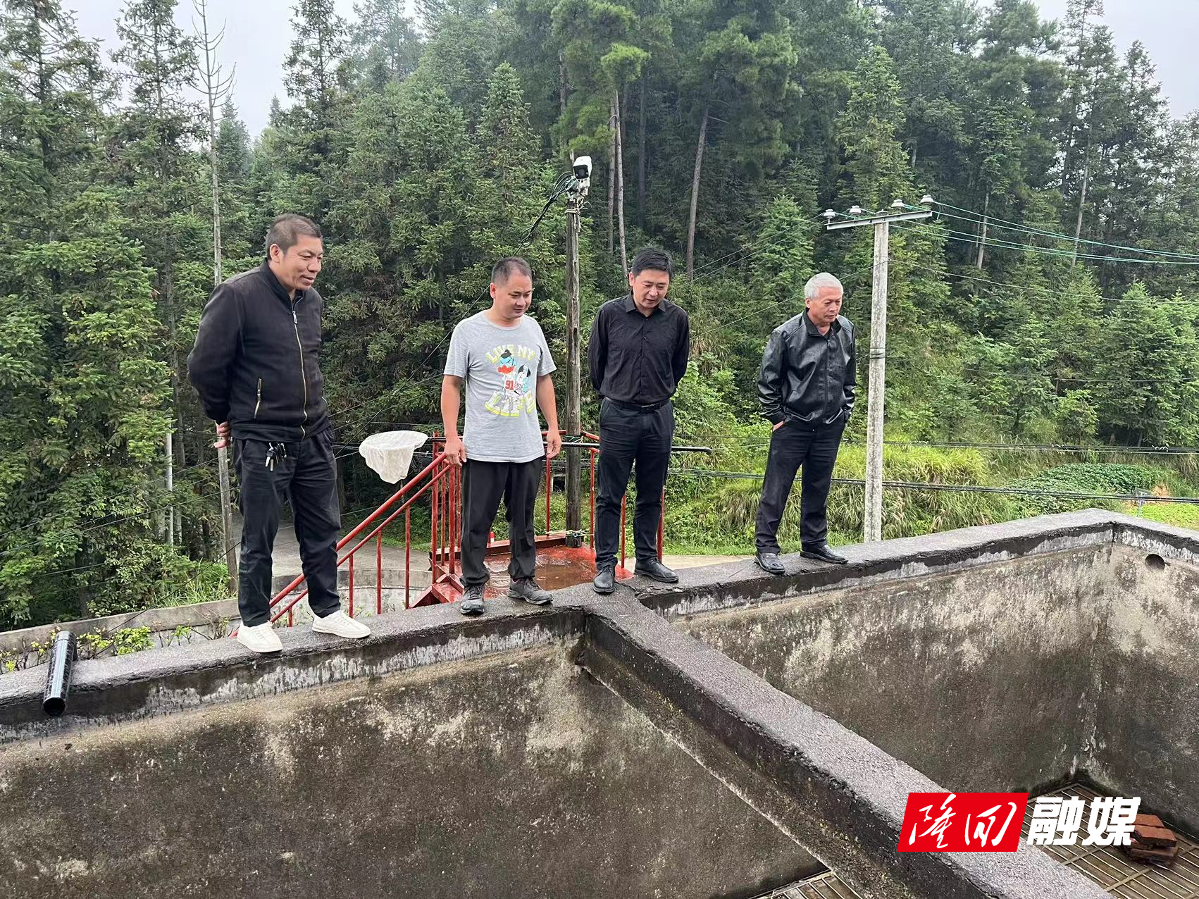 罗洪镇政协委员工作室开展“改善生态环境”专项民主监督活动(图2)