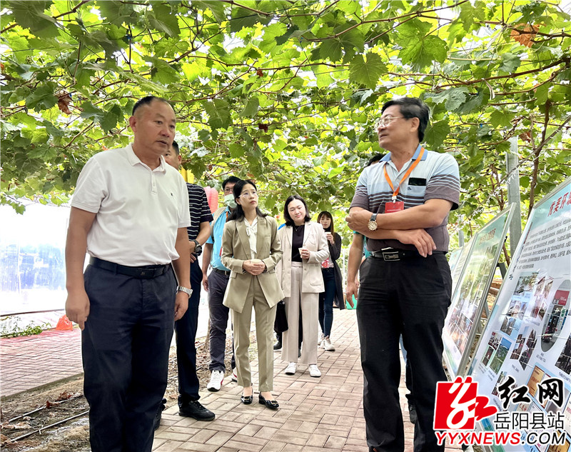 中华两岸考察 (2).jpg