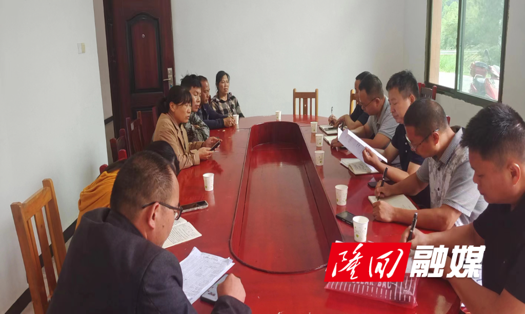 隆回县退役军人事务局到岩口镇开展“三天两晚”驻村调研(图1)