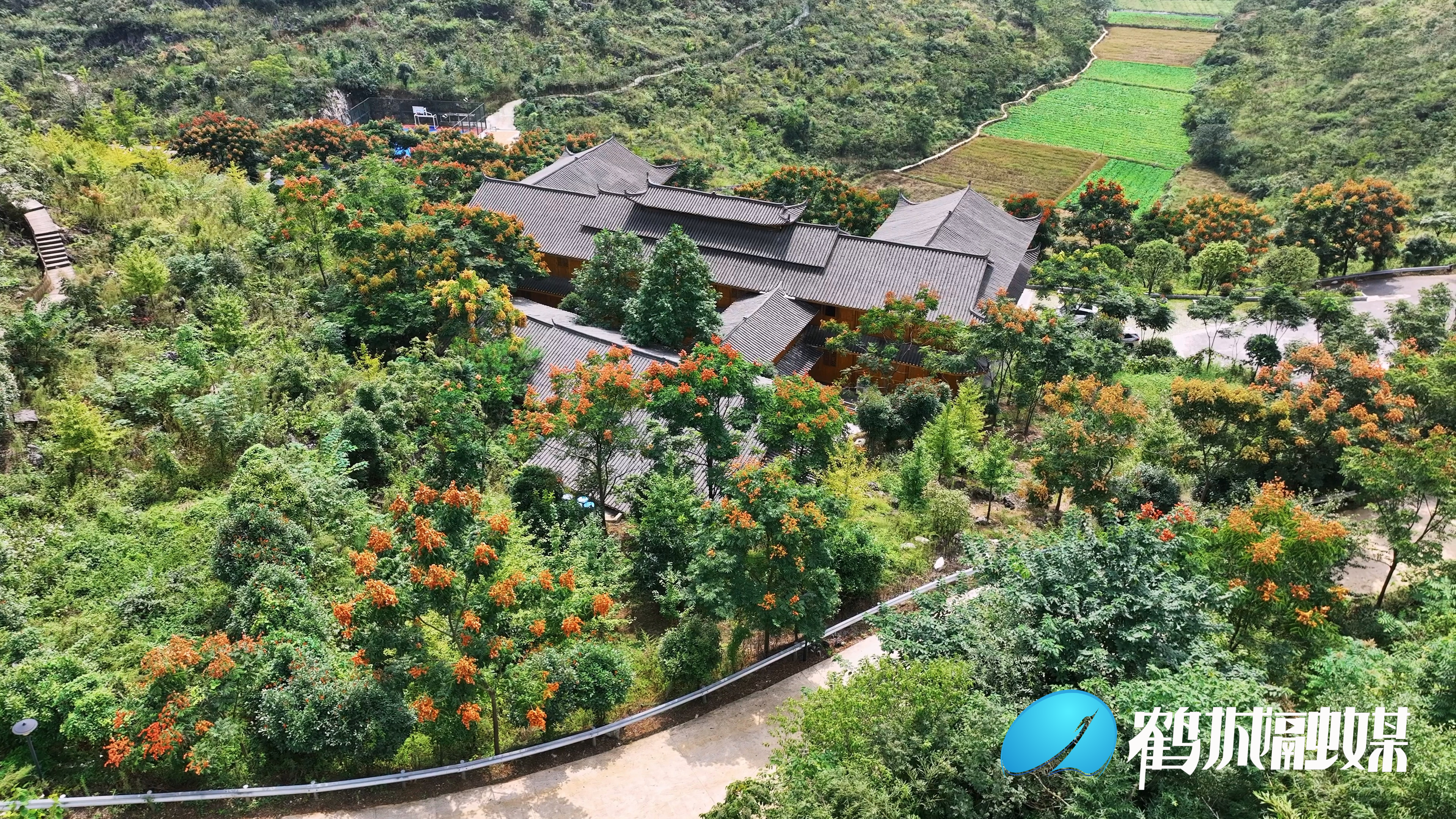 怀化鹤城区：栾树花开秋意浓（4K）.mp4_20230926_161323.254.jpg
