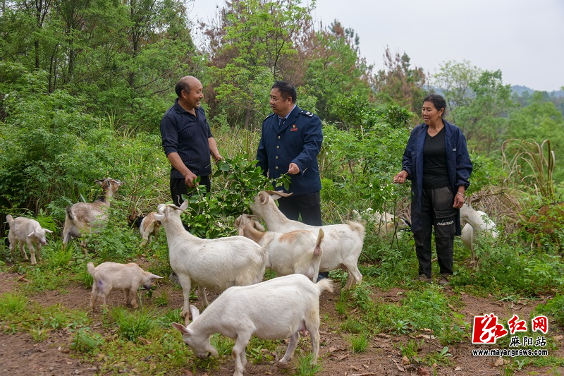 滕代蛟对口帮扶脱贫户发展山羊养殖.jpg