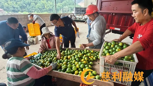 b0c32268482d590071c334e80a971eb.jpg b0c32268482d590071c334e80a971eb.jpg