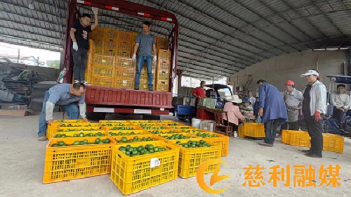 d99e2f201ff4e55463e9dea1378bce4.jpg d99e2f201ff4e55463e9dea1378bce4.jpg