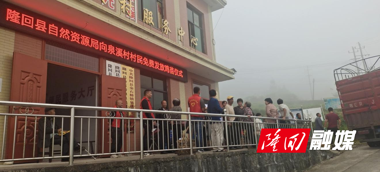 隆回县自然资源局免费发放鸡苗发展庭院经济 助推乡村振兴(图1)