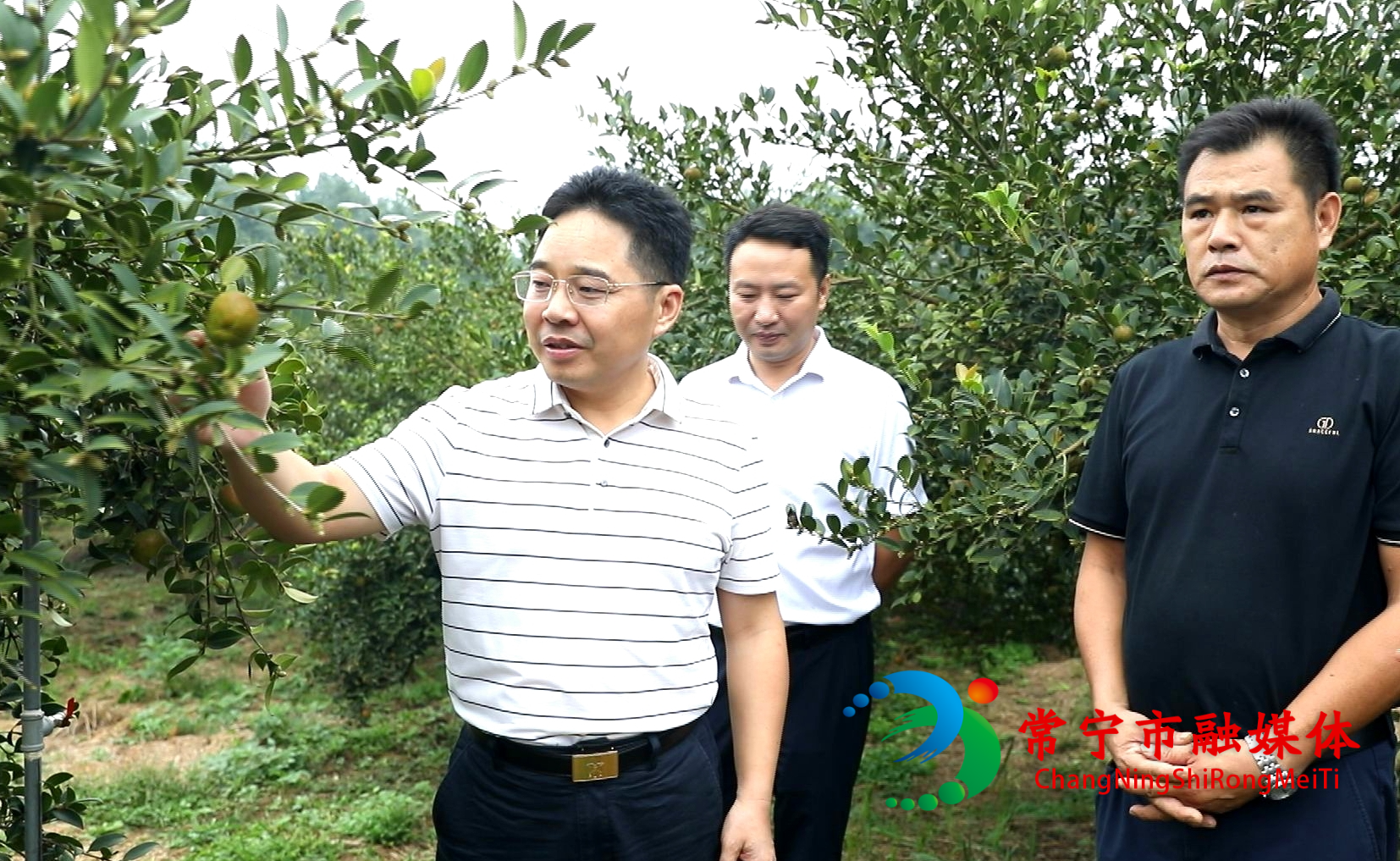 罗卫华到乡镇调研森林防灭火及油茶收摘秩序维护工作 (2).jpg