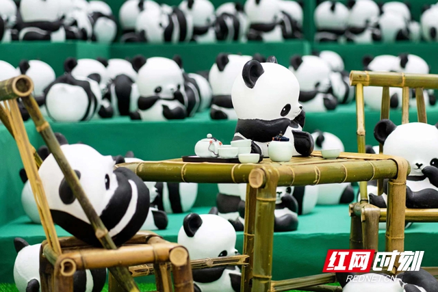 图片5.jpg 图片5.jpg