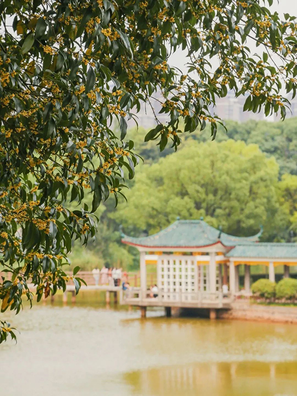 微信图片_20231005190841.jpg