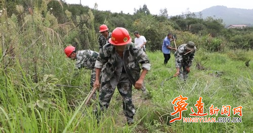 宁远：构建立体防控体系 筑牢森林防火网_副本500.jpg