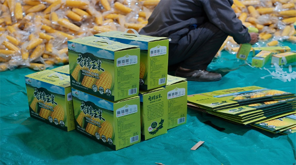 图片 6.png 图片 6.png