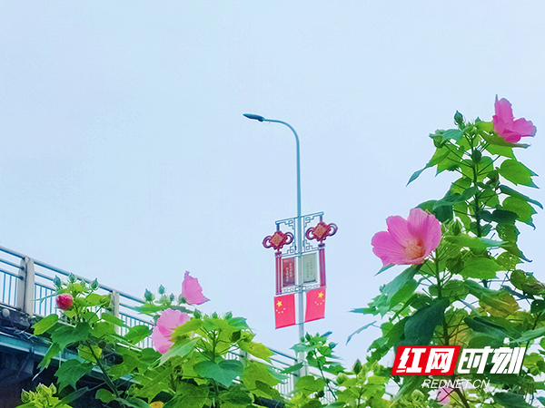微信图片_20231007103534.psd00.jpg