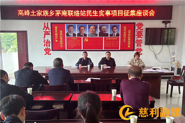 民生实事项目征集座谈会.jpg