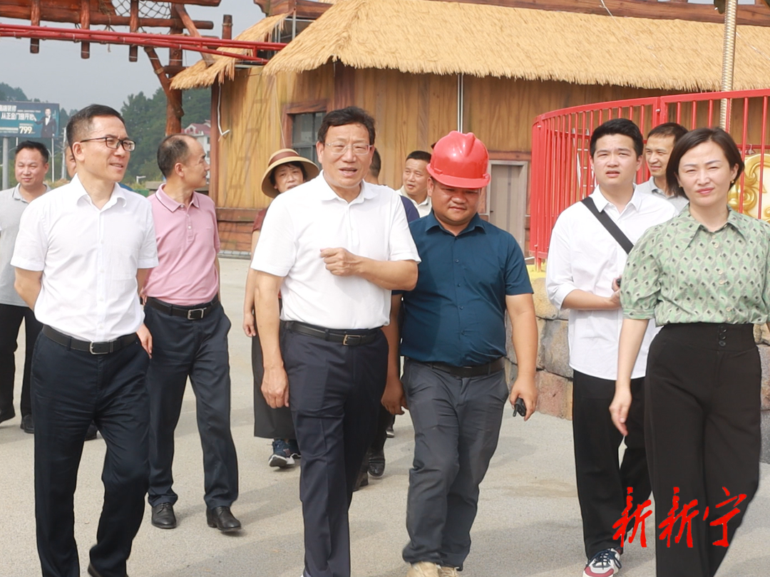华学健到新宁督导安全生产工作 全力以赴防风险保安全(图1)