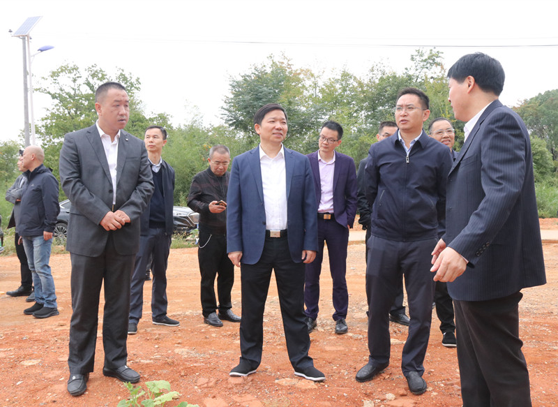 李国军调研自然资源工作 强调土地集约高效利用(图1)