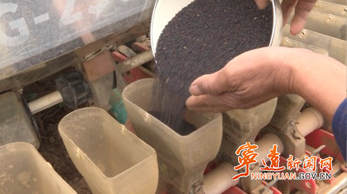 寧遠：機械耕種油菜 助農(nóng)增收4_副本500.jpg