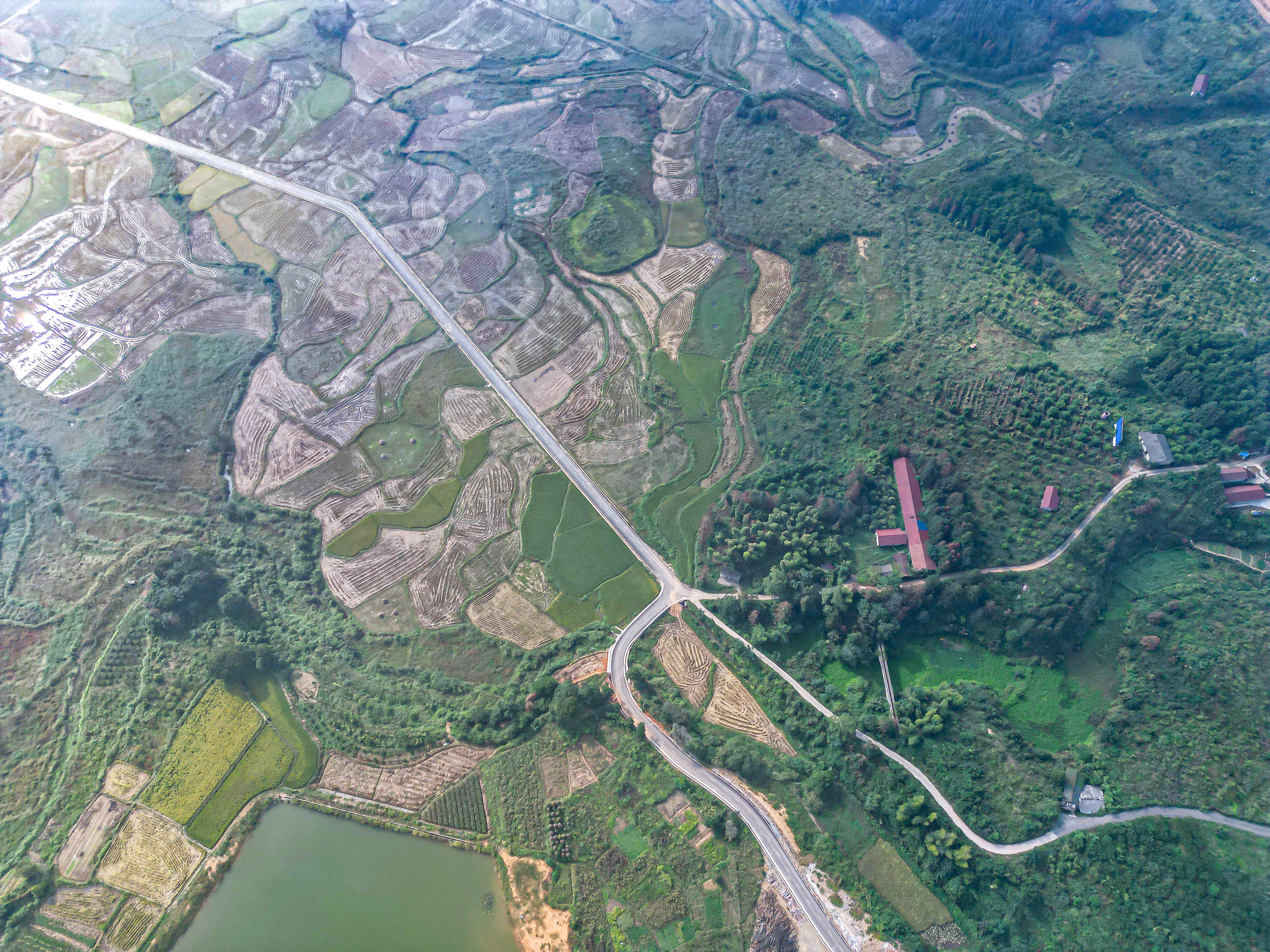 DJI_0110.jpg